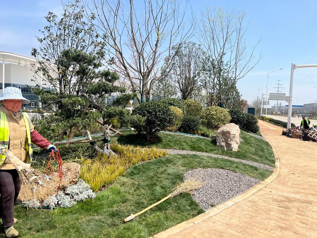 匠心營(yíng)造綠意 園林綠化工程施工一線實(shí)拍與要點(diǎn)解析