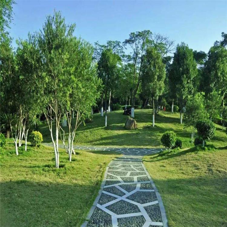 怒江園林綠化施工 市政綠化與園林綠化工程施工的關(guān)鍵要點(diǎn)與實(shí)踐
